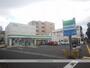 コンビニ　ファミリーマート鹿大法文学部前店（コンビニ）まで246m
