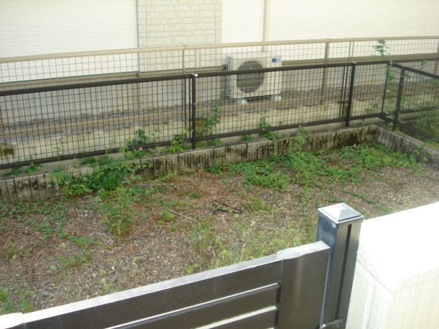 庭