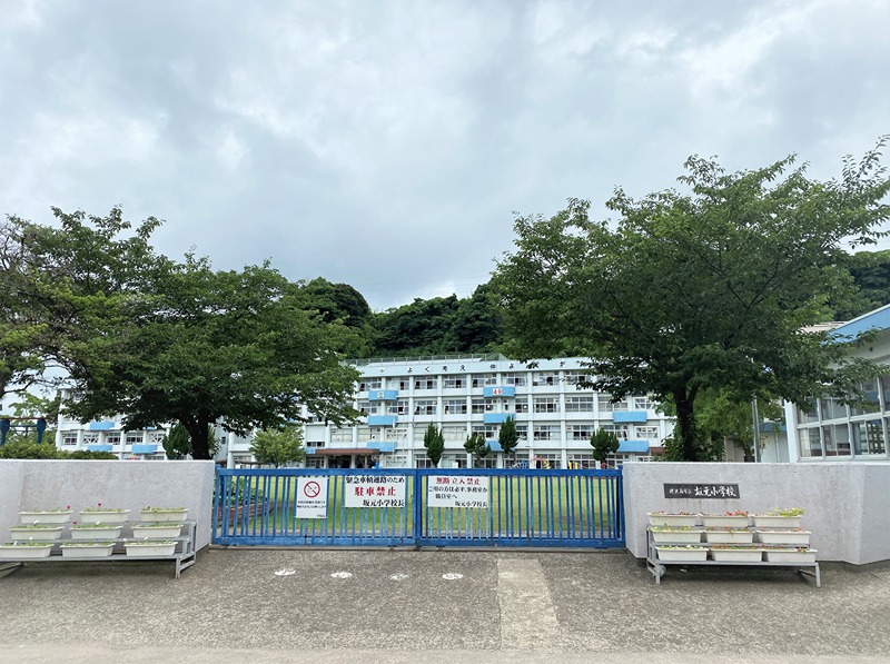 小学校　坂元小学校（小学校）まで874m