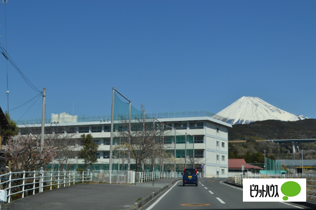 中学校　富士市立須津中学校（中学校）まで1051m
