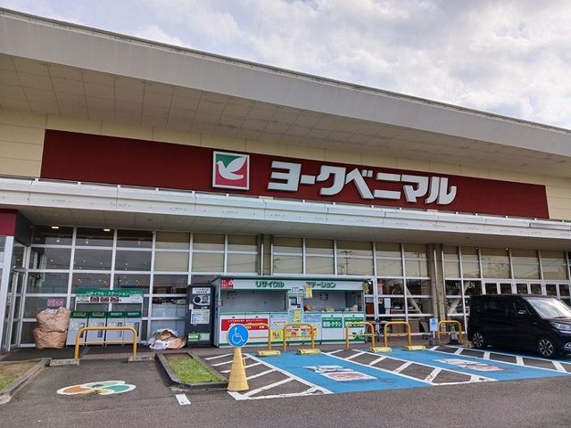 スーパー　ヨークベニマル南中山店（スーパー）まで2300m