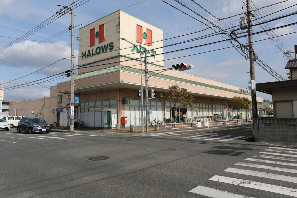 スーパー　ハローズ手城店（スーパー）まで733m