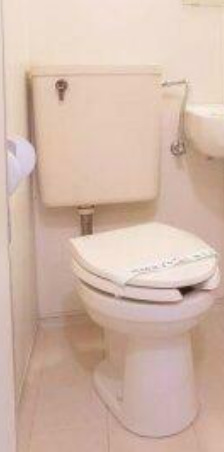 京急本線 大森町駅 徒歩8分 5階建 築39年のトイレ写真