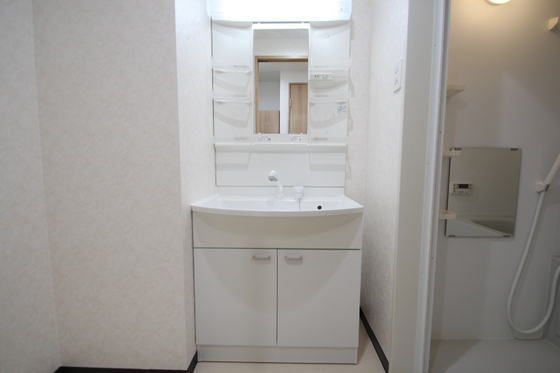 洗面設備　※別号室の写真です。
