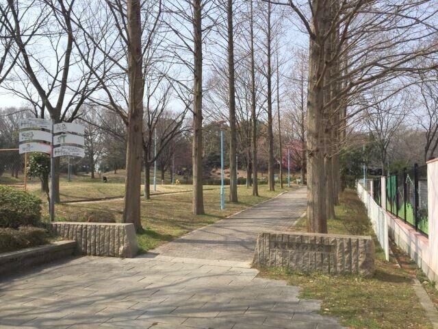 公園　矢田教育の森公園（公園）まで931m