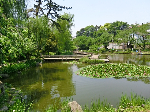 公園　白幡池公園（公園）まで820m
