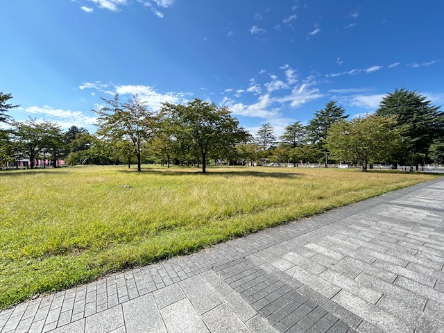 【仙台市青葉区川内川前丁のマンションの公園】