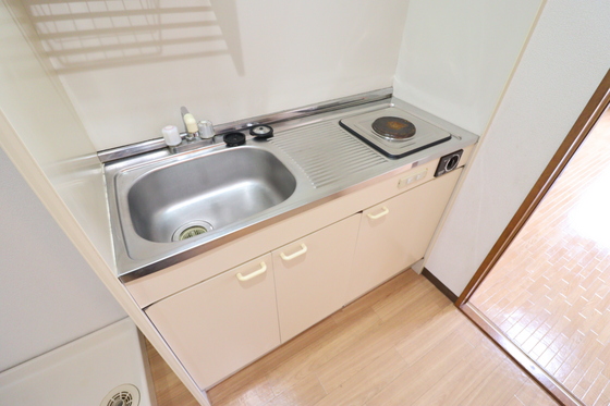 キッチン　※写真は別号室です