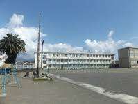 小学校　静岡市立清水入江小学校（小学校）まで874m