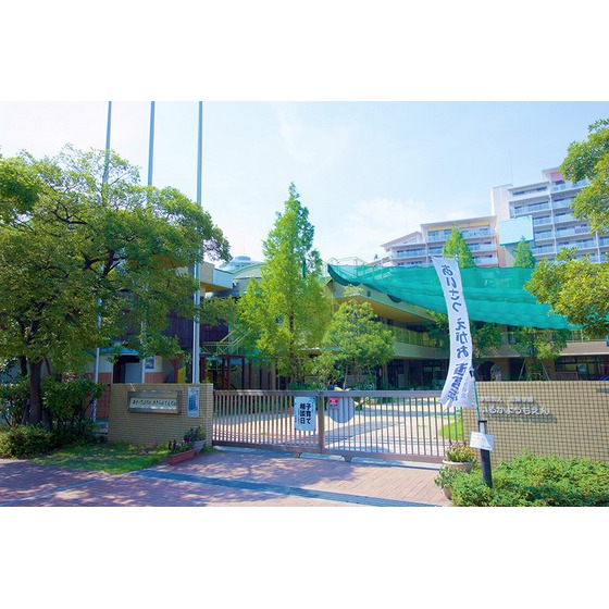 幼稚園・保育園　いるか幼稚園（幼稚園・保育園）まで643m