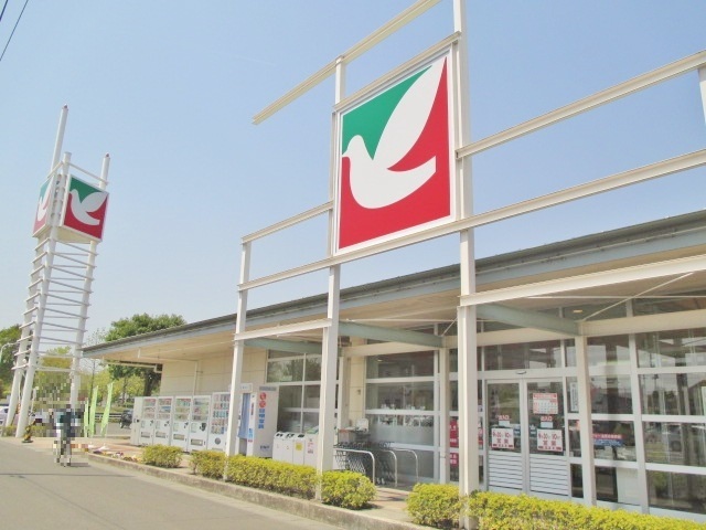 スーパー　ヨークベニマル柳生店（スーパー）まで880m