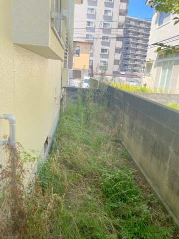 小学校　府中町立府中中央小学校（小学校）まで796m