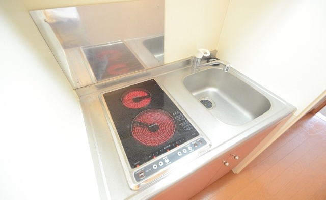 キッチン　同物件、別号室のものです。