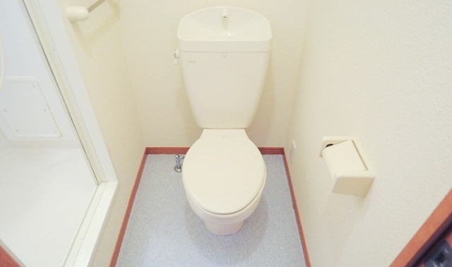トイレ　同物件、別号室のものです。