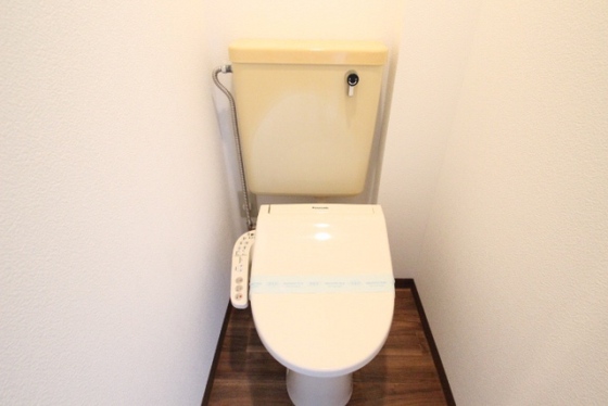 トイレ　※別号室の写真です