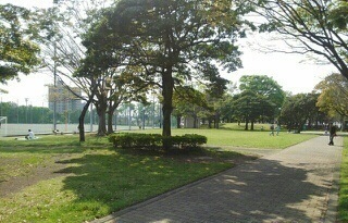 公園　大岡公園（公園）まで900m