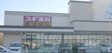 ドラックストア　スギ薬局袋井南店（ドラッグストア）まで884m