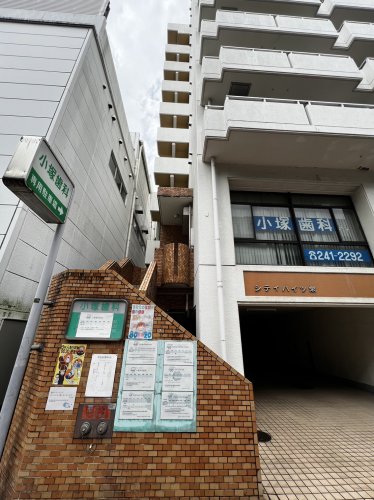 病院　小塚歯科（病院）まで602m