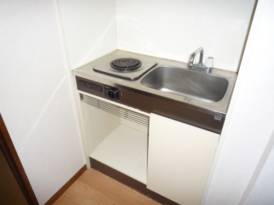 キッチン　※別号室の写真です