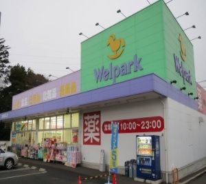 ドラックストア　ウェルパーク（ドラッグストア）まで700m