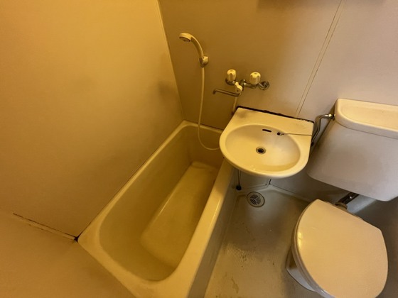 バス・シャワールーム　※別部屋の写真です