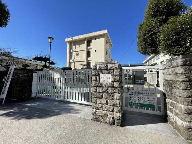 小学校　白島小学校（小学校）まで289m