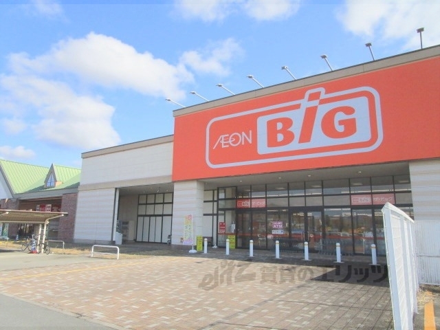 スーパー　ザ・ビッグ篠山店（スーパー）まで1600m