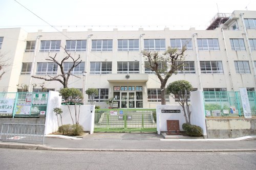 小学校　堺市立少林寺小学校（小学校）まで212m