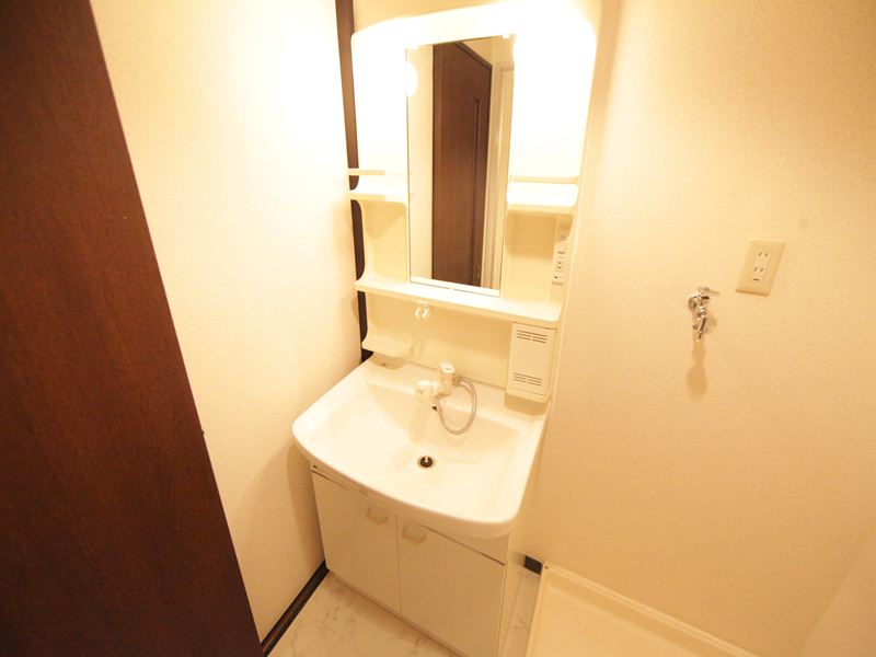 洗面設備　脱衣所　シャンプードレッサー付き