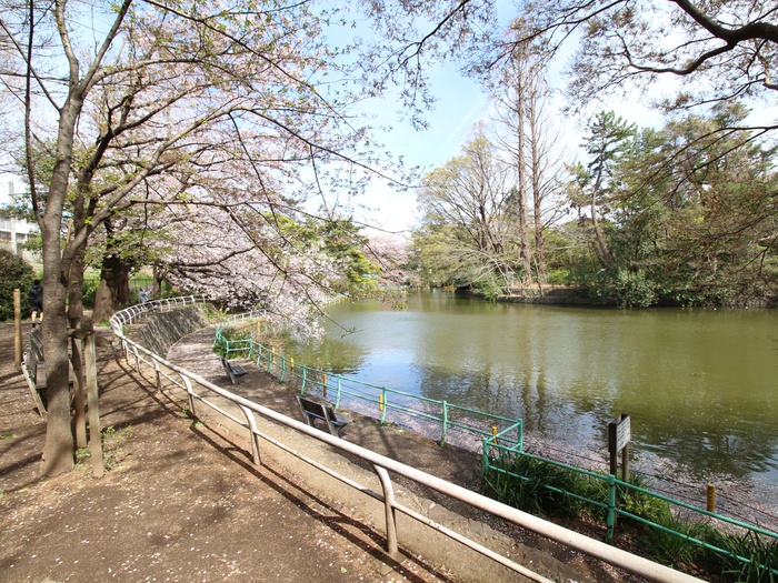 公園　武蔵関公園（公園）まで400m