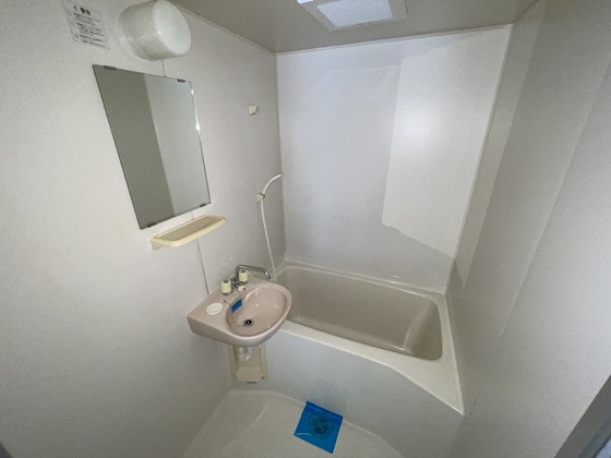 バス・シャワールーム　※別部屋の写真です