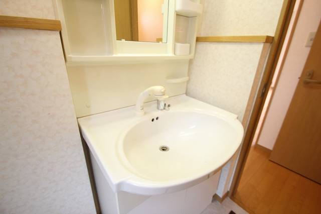 洗面設備　シャワーつき独立洗面台です