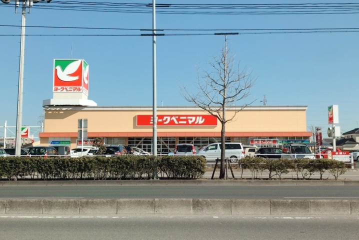 スーパー　ヨークベニマル遠見塚店（スーパー）まで580m