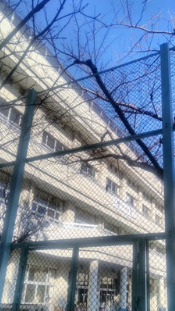 小学校　中央区立京橋築地小学校（小学校）まで596m