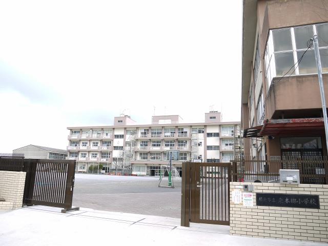 小学校　横浜市立東本郷小学校（小学校）まで834m