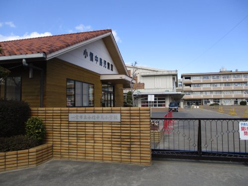 小学校　一宮市立小信中島小学校（小学校）まで851m