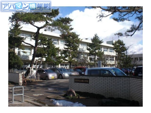 小学校　新潟市立白根小学校（小学校）まで1423m