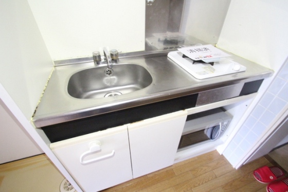 キッチン　※別号室の写真です