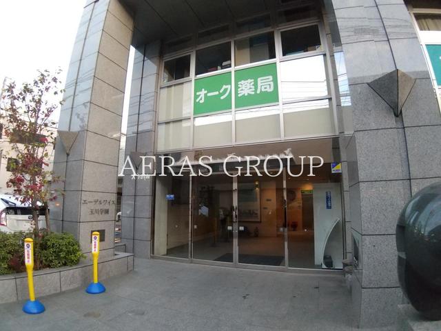 ドラックストア　オーク薬局（ドラッグストア）まで1320m