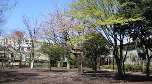 公園　中央緑地公園（公園）まで589m