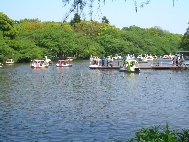 公園　井の頭恩賜公園（公園）まで1219m