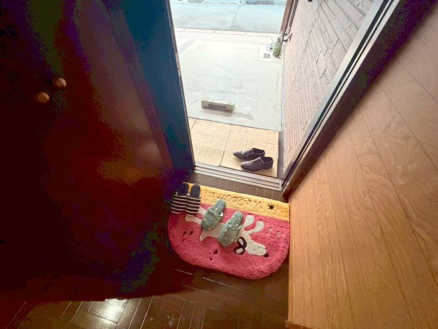 その他　素敵な玄関は毎朝あなたを元気に送りだしてくれますよ。