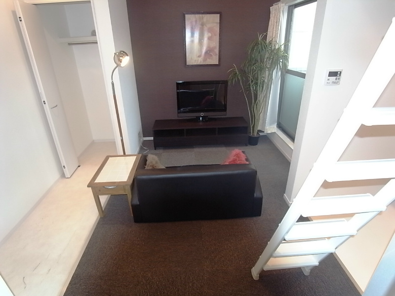 その他　洋室9帖　ロフト4.9帖（帖収としても部屋としても使えます）