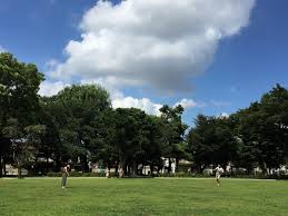 公園　文庫の森（公園）まで235m