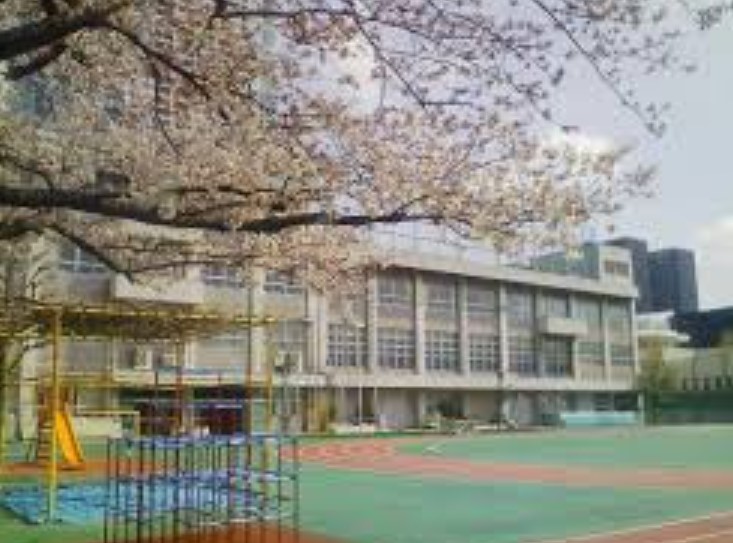 小学校　中央区立豊海小学校（小学校）まで550m