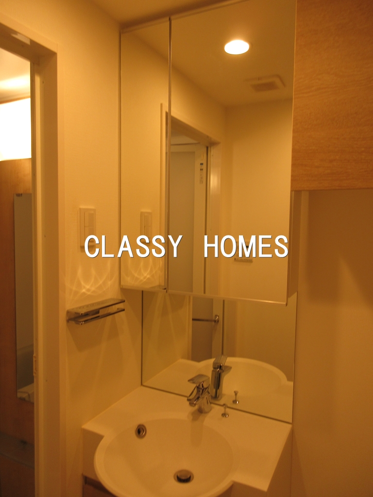 洗面設備　2018年竣工　ディームス品川南：洗面台