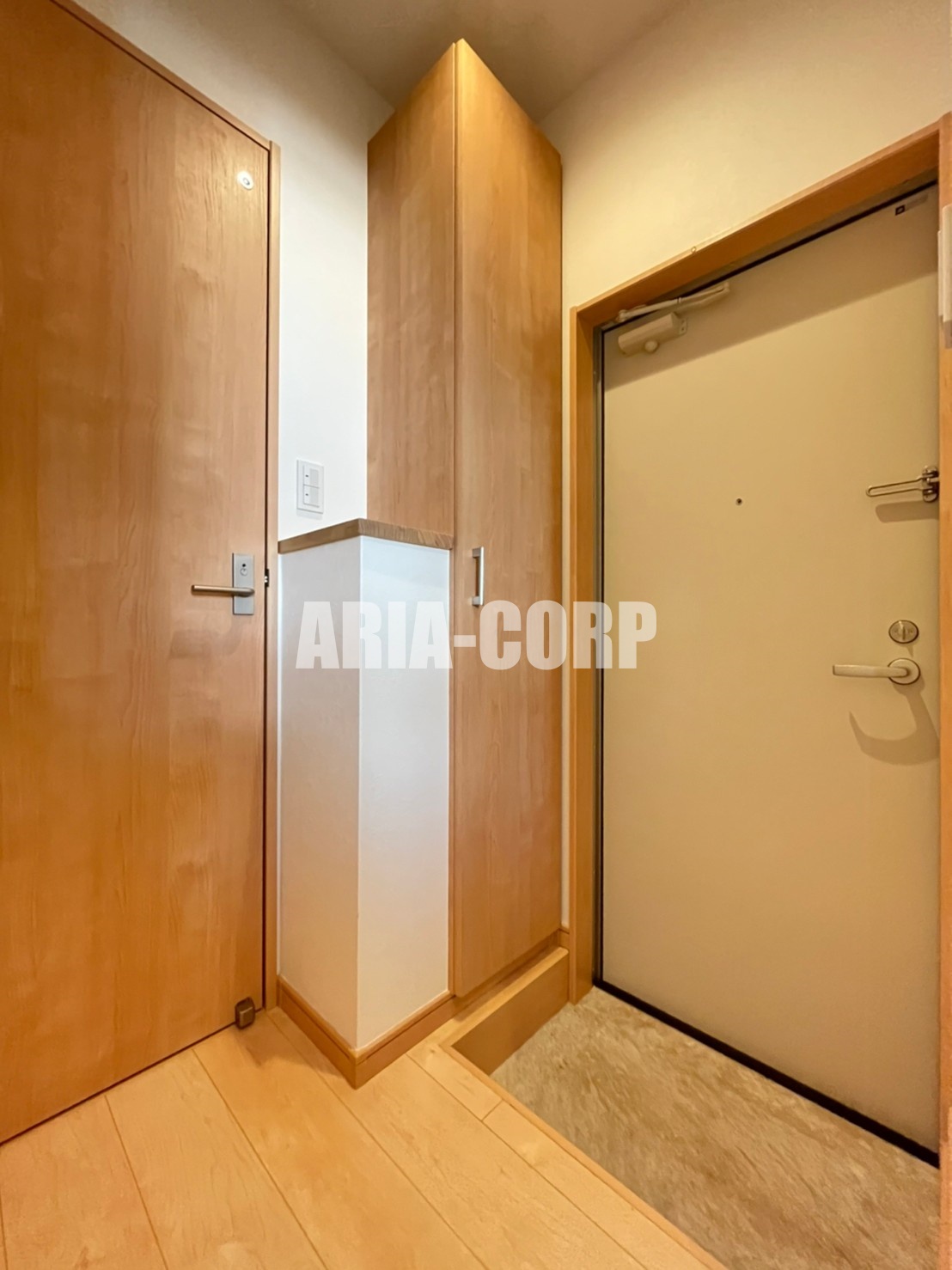 玄関　縦型のスリムなシューズボックスも完備しております！