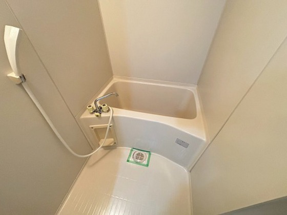 バス・シャワールーム　※別部屋の写真です