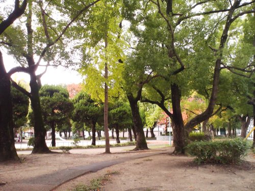 公園　浦江公園（公園）まで801m