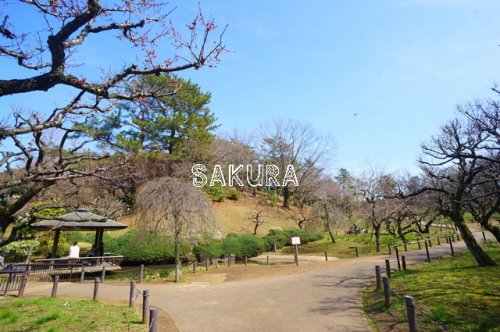 公園　大倉山公園（公園）まで1047m